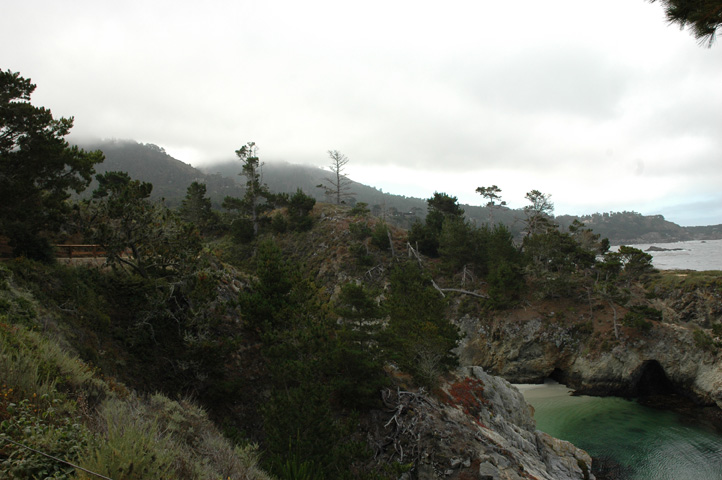Point Lobos 031.jpg